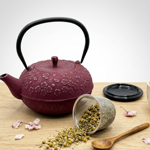 Tetera Hierro Fundido Estilo Japonesa 1l Infusiones Té